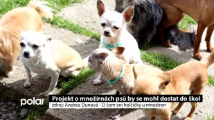 Projekt o množírnách by se mohl dostat do škol