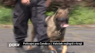 Policejní pes Čenda a J. Valošek nejlepší v kraji