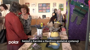 Senioři z Karviné a Havířova společně vystavují