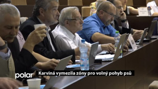 Karviná vymezila čtyři zóny pro volný pohyb psů