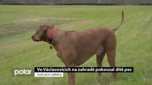 Ve Václavovicích pokousal dítě na zahradě pes