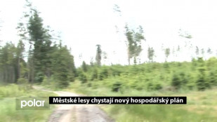 Městské lesy chystají hospodářský plán