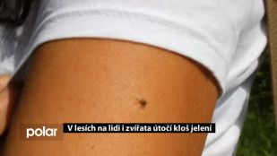 V lesích na lidi i zvířata útočí kloš jelení