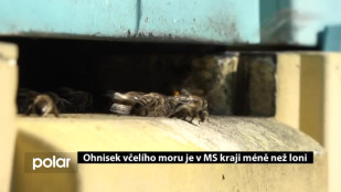 Ohnisek včelího moru je v MS kraji méně než loni