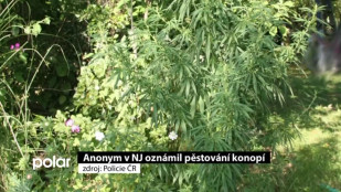 Anonym v NJ oznámil pěstování konopí