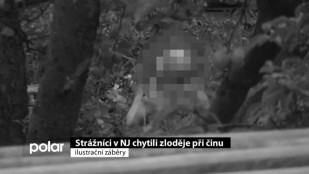 Strážníci v NJ chytili zloděje při činu