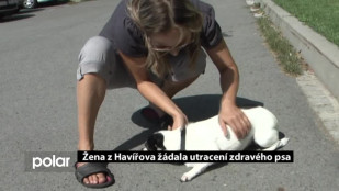 Žena z Havířova žádala utracení zdravého psa