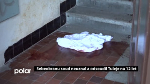 Sebeobranu soud neuznal a odsoudil Tuleje na 12 let