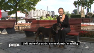 Lidé stále více utrácí za své domácí mazlíčky