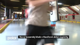 Nový boxerský klub v Havířově sklízí úspěchy