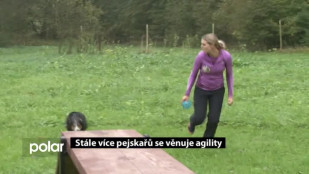 Stále více pejskařů se věnuje agility