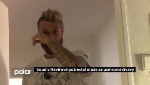 Soud v Havířově potrestal muže za usmrcení čivavy