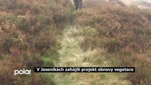 V Jeseníkách byl zahájen projekt obnovy původních rostlin