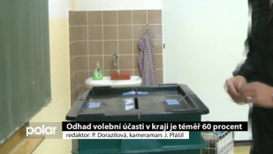 Odhad volební účasti v kraji je téměř 60 procent