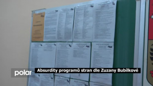 Absurdity v programech stran podle Zuzany Bubílkové 