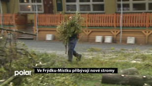 Ve Frýdku-Místku přibývají nové stromy