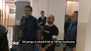 Šéf gangu si odsedí 8 let za 100 kg marihuany