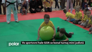 Ve sportovní hale GOA se konal turnaj mini judistů