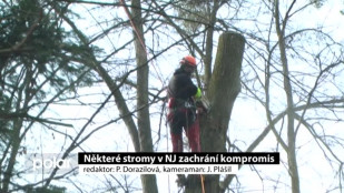 Některé stromy v NJ zachrání kompromis