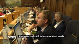 Zastupitelé F-M schválili dotace do oblasti sportu