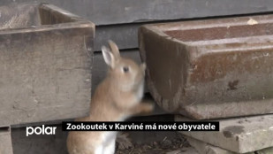 Zookoutek v Karviné má nové obyvatele