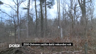 Zoologická zahrada v Ostravě zažila další rekordní rok