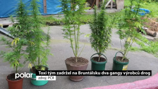 Toxi tým zadržel na Bruntálsku 2 gangy výrobců drog