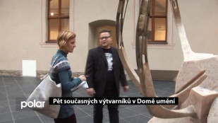 Pět současných výtvarníků v Domě umění 