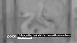 Policie našla v bytě v Dívčím Hradu tělo nedonošence