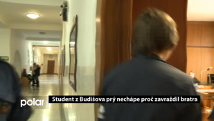 Student z Budišova prý nechápe, proč zavraždil bratra