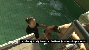 Výukový krytý bazén v Havířově je už opět v provozu