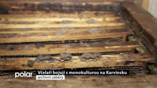 Včelaři bojují s monokulturou na Karvinsku