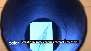 Muzeum v Novém Jičíně zve na procházku mechem