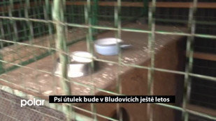 Psí útulek bude v Bludovicích ještě letos