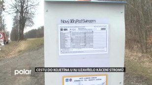 Cestu do Kojetína u NJ uzavřelo kácení stromů