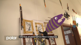 Výstava studentů karvinského gymnázia v knihovně