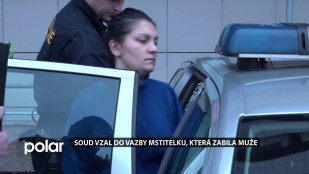 Soud vzal do vazby mstitelku, která zabila muže