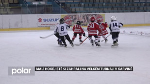 Malí hokejisté si zahráli ve velkém turnaji