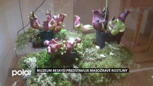 Masožravé rostliny v Muzeu Beskyd Frýdek-Místek