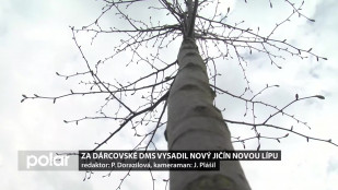 Za dárcovské DMS vysadil Nový Jičín novou lípu