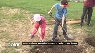 Novou lípu v Kojetíně zaplatily dárcovské DMS