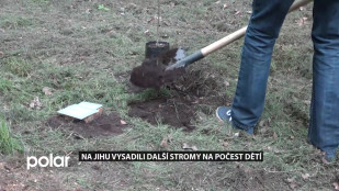  Na Jihu vysadili další stromy na počest dětí