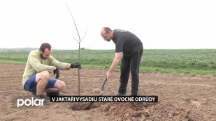 V Jaktaři vysadili staré ovocné odrůdy