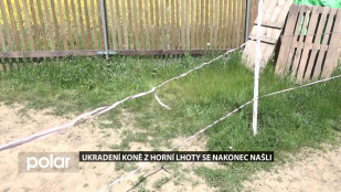 Ukradení koně z Horní Lhoty se nakonec našli