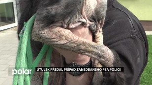 Útulek předal případ zanedbaného psa policii