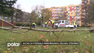 Sucho si ve Frýdku-Místku vyžádalo mimořádnou zálivku stromků