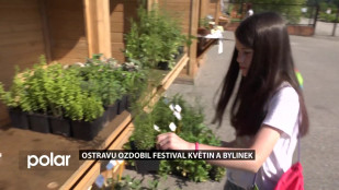 STUDUJ U NÁS: Festival květin a bylinek