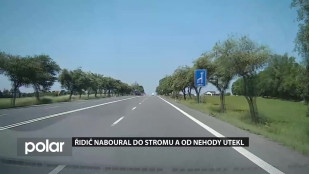 Řidič naboural do stromu a od nehody utekl