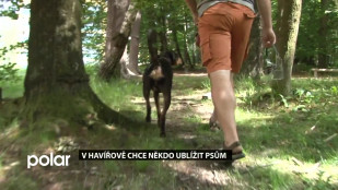 V Havířově chce někdo ublížit psům