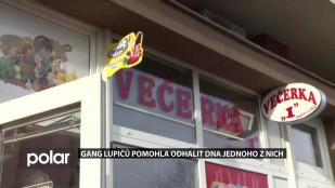 Gang lupičů pomohla odhalit DNA jednoho z nich